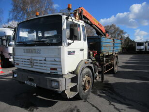 Palfinger Sany  en el chasis Renault G300 grúa móvil